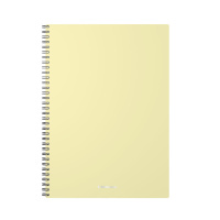 Тетрадь А4  80л кл.  "Pastel" пластик. обложка