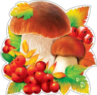 Украшение на скотче 18*18см "Грибы"