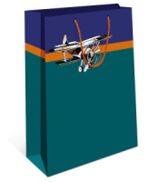 Пакет подар. бумажн. 18*23*10 см, 130гр/м Самолет