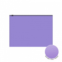 Конверт на молнии А4 полупрозрачный Fizzy Vivid, ассорти