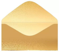 Конверт для денег "С Новым годом!" Конверт для денег "С Новым годом!"