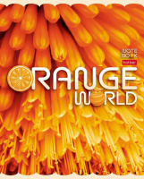 Тетрадь А5  96л кл. Hatber "Оранжевый мир" мат.лам., белизна 100%