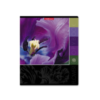 Тетрадь А5  96л кл. Erich Krause "Цветовая палитра", выбор. УФ-лак