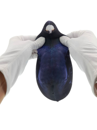 Игрушка антистресс 23см "Птица Голубь городской"