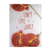 Папка на резинке А4 0,4мм Фрукты