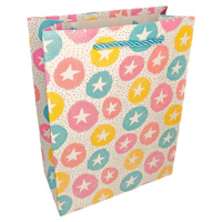 Пакет подар. бумажн. 18*24*8,5 см 210 гр/м2 Pink dream, микс дизайнов