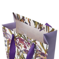 Пакет подар. бумажн. 18*23*10 см 210гр/м2 Flora. Ирисы