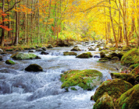 Календарь Трио  295*720мм на 2026г.  Осень в лесу