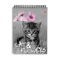 Блокнот А6  40л гребень "Котята" клетка