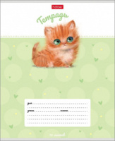 Тетрадь А5 12л кл. Hatber "Кошарики" 5 диз.в спайке, белизна 98%