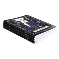 Тетрадь А5 48л кл. Феникс+ "Милая готика" выб.твин-лак, белизна 100%