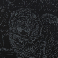 Гравюра 18*24см с эффектом золото Собаки "Чау-чау"