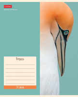 Тетрадь А5 24л кл. Hatber "Nature" 5 диз.в блоке, белизна 98%