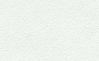 Папка для акварели "Фауна", А-3 (297х420), плотность 200г/м2, (цвет молочный) 10 л.