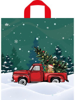 Пакет 42*38см (37мк) с петлевой ручкой "Праздник в пути" ПНД