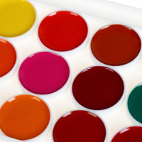 Акварельные краски 24цв. ZOO, без кисти, пласт.упак.