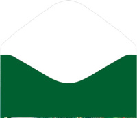 Конверт для денег "С Новым годом! Шары"