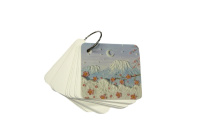 Карточки д/записи иностр. слов 70*70мм 80 листов.,кольцо, 4 вида