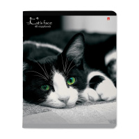 Тетрадь А5 48л  кл.,  "Кошки. Яркий взгляд" микс в спайке