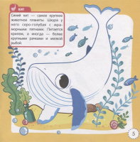 Раскраска 215*215мм  8стр. энциклопедия "Животные морей и океанов"