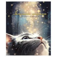 Алфавитная книга А6  80л 7БЦ "Кот со звездами" вырубка, лин.