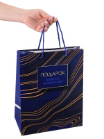 Пакет подар. бумажн. 26*32*10 см, 157гр/м, Особый подарок