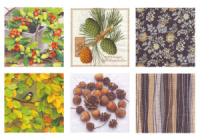 Декупажные салфетки "Красавица осень!" 33*33см 6шт, ассорти