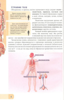Книжка А4  32стр. "Энциклопедия. В мире знаний. Человек и его тело"