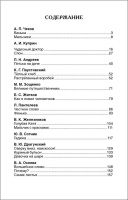 Книжка "В.Ч. Рассказы русских писателей" А5 160стр.