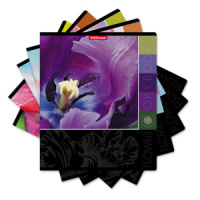 Тетрадь А5  96л кл. Erich Krause "Цветовая палитра", выбор. УФ-лак