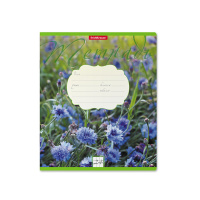 Тетрадь А5 24л кл. Erich Krause "Цветущие луга"