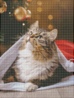 Мозаика алмазная по номерам на холсте 30*40см "Усатый подарок" с подрамником