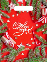 Пакет 30*23см (30мк) с вырубной ручкой "Цвет Нового года" ПВД