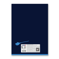 Тетрадь А4  48л кл. скоба Светоч "Заметки с метлой"