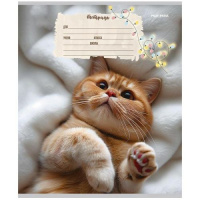 Тетрадь А5 12л косая лин. с доп.горизонт.лин. Проф-Пресс "Кошечки" 5диз.в сп.