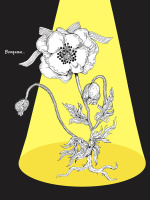 Раскраска "Юко Хигучи приглашает в Мяузей" А4, 96стр.