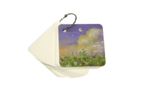 Карточки д/записи иностр. слов 70*70мм 80 листов.,кольцо, 4 вида