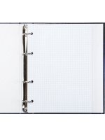 Тетрадь А5 120л кл. на кольцах Проф-Пресс "Мотыльки и цветок" твин-лак, хол.фольга, белизна 100%