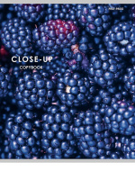 Тетрадь А5 48л кл. Проф-Пресс "Ягодные фото" белизна 100%