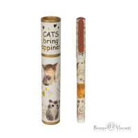 Ручка шар. BV "DreamWrite. Сказочный день" синяя,  0,7мм, 3 вида**