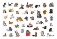 Альбом А4, 4л. с наклейками 350 шт "Кошки"