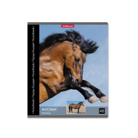 Тетрадь А5 48л кл. Erich Krause "Энциклопедия, Лошади"