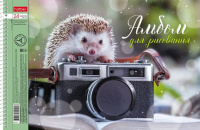 Альбом А4 24л гребень "Ассорти. Выпуск 2", перфорация на отрыв,  пл. 100 гр/м