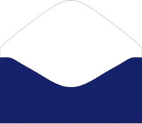 Конверт для денег "Новогодний подарок" Конверт для денег "Новогодний подарок"