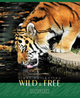 Тетрадь А5  60л кл. Hatber "Дикие и свободные"