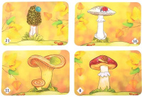 Игра Мемо "Грибы" (50 карточек)