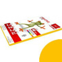 Бумага А4 цветная 100л ИНТЕНСИВ, жёлтая