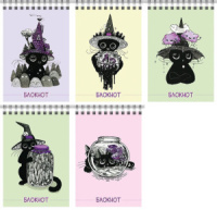 Блокнот А6  40л гребень "Ведьмочки" кл., выб.твин -лак