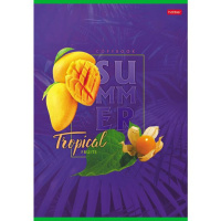 Тетрадь А4  80л кл. скрепка "Тропическое лето"