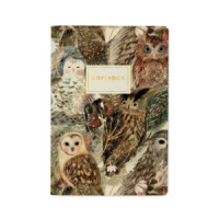 Записная книжка А5  40л. картон, мягк.пер. "Fauna. Волшебные совы" кл.